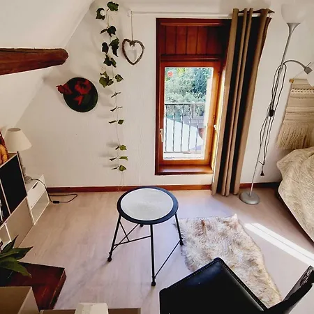 Tatil Evi Charmante Maison, Animaux Ok - 4 Pers. - Fr-1-532-23 *
