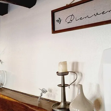 Charmante Maison, Animaux Ok - 4 Pers. - Fr-1-532-23 Tatil Evi *